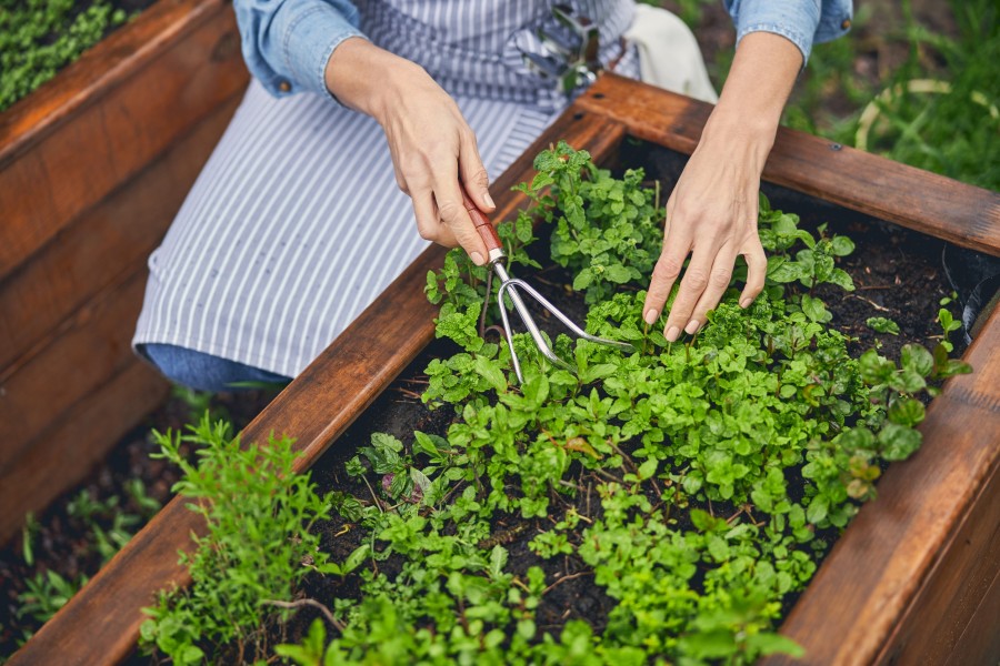 Comment aménager un jardin facilement ?